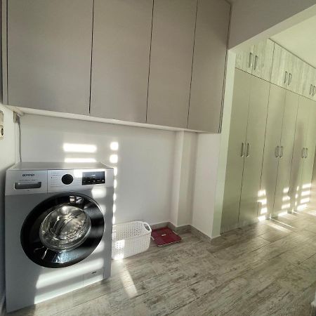 Tei Apartment - Lucian Blaga Satu Mare Dış mekan fotoğraf