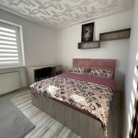 Tei Apartment - Lucian Blaga Satu Mare Dış mekan fotoğraf