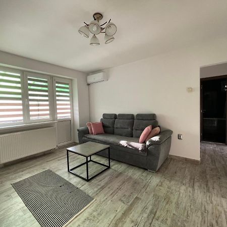 Tei Apartment - Lucian Blaga Satu Mare Dış mekan fotoğraf
