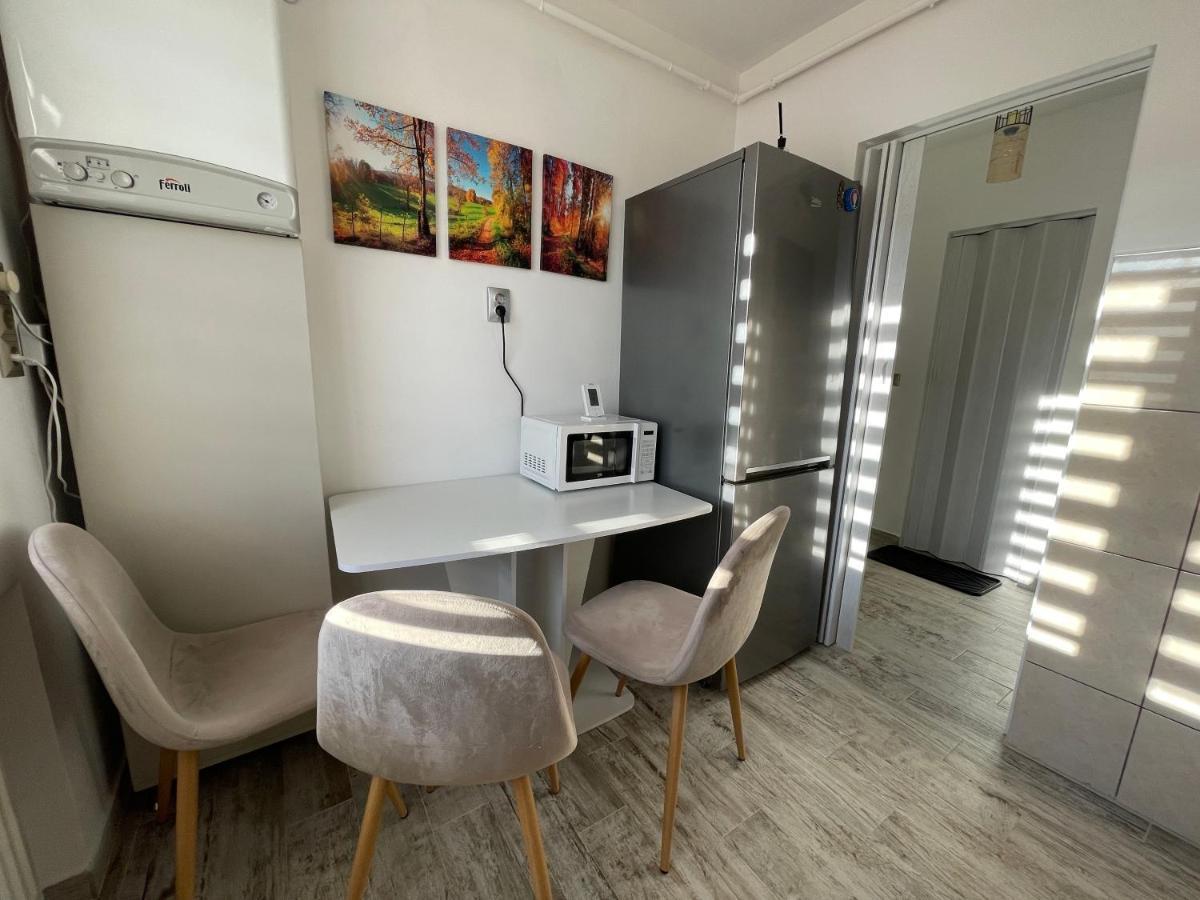 Tei Apartment - Lucian Blaga Satu Mare Dış mekan fotoğraf