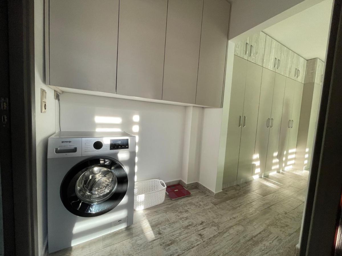 Tei Apartment - Lucian Blaga Satu Mare Dış mekan fotoğraf