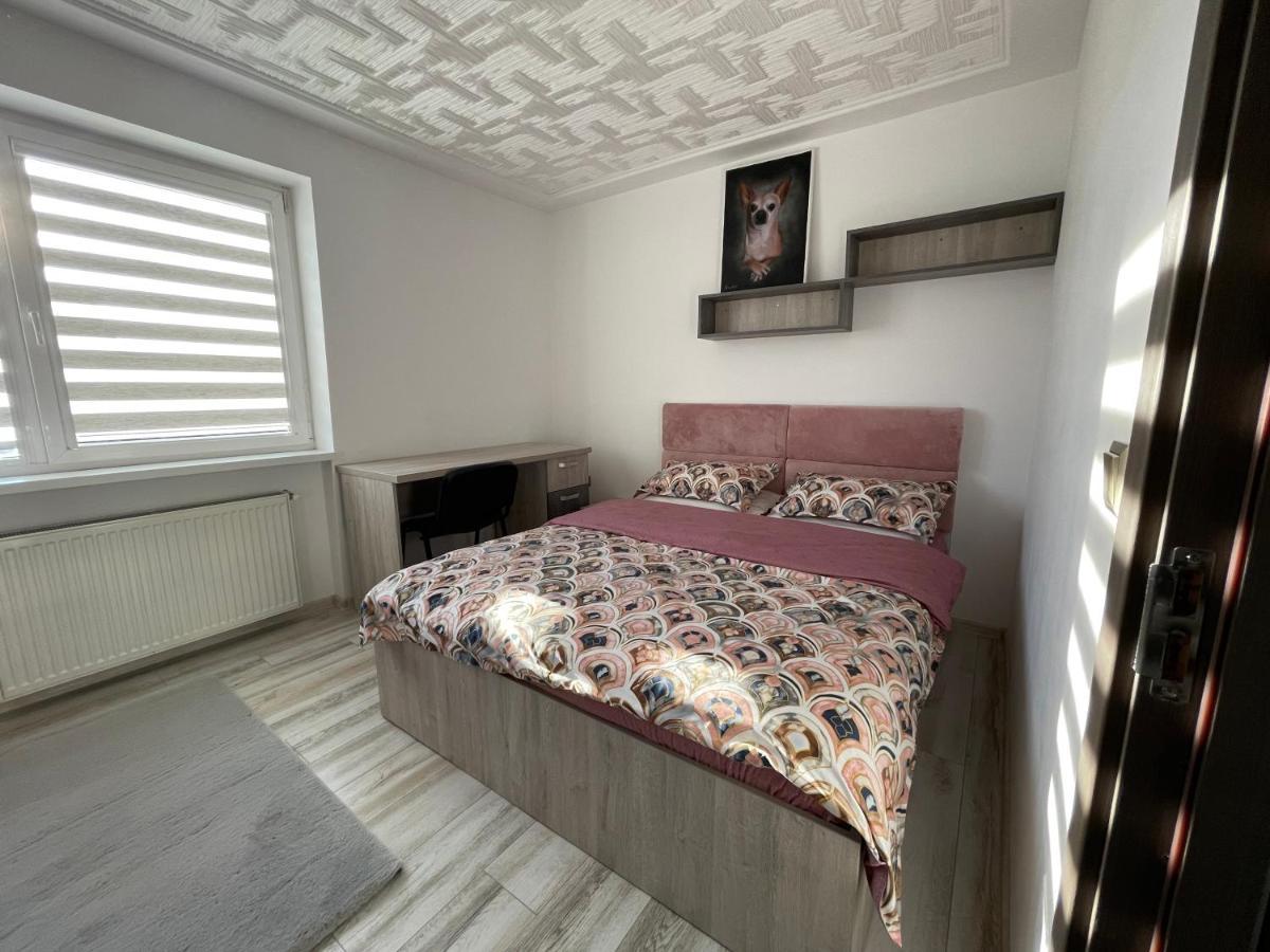 Tei Apartment - Lucian Blaga Satu Mare Dış mekan fotoğraf