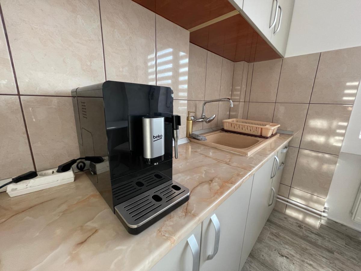 Tei Apartment - Lucian Blaga Satu Mare Dış mekan fotoğraf
