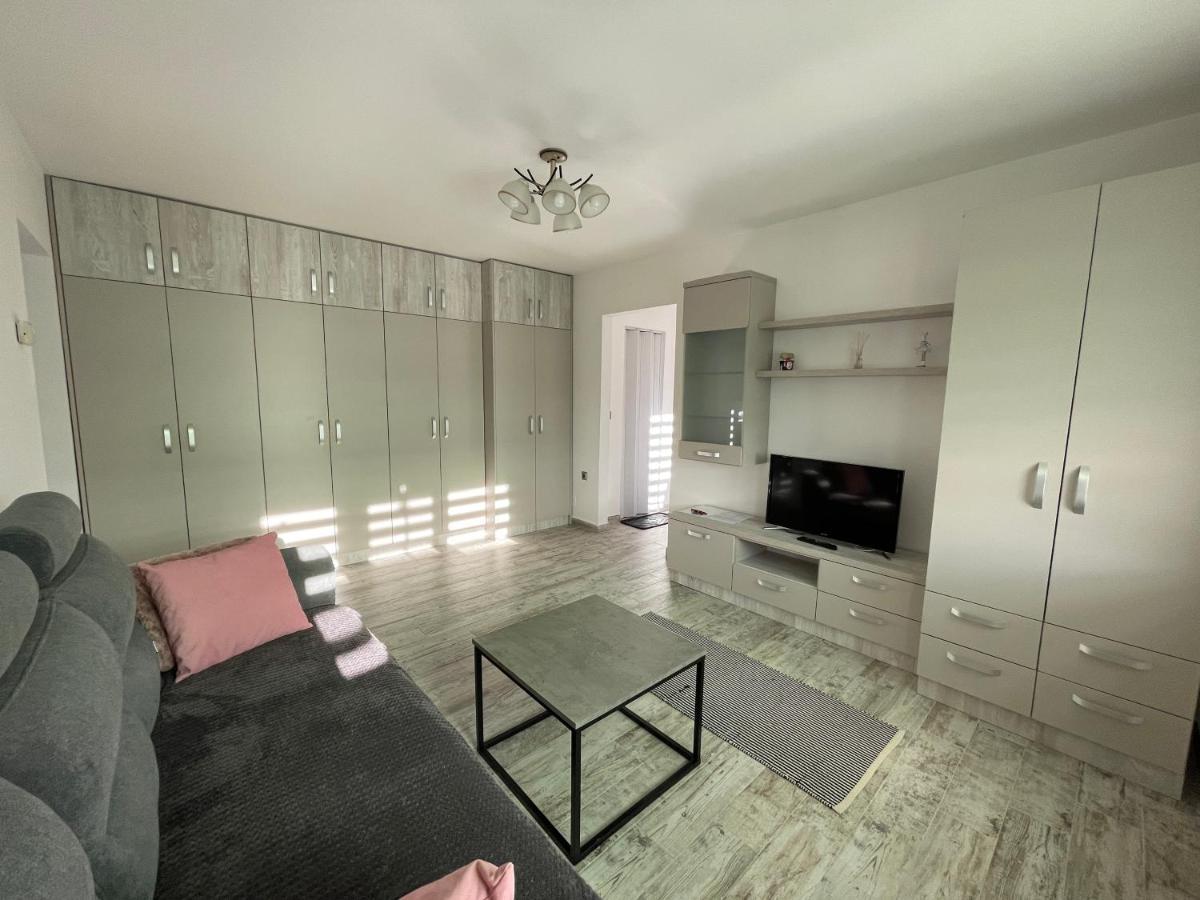 Tei Apartment - Lucian Blaga Satu Mare Dış mekan fotoğraf