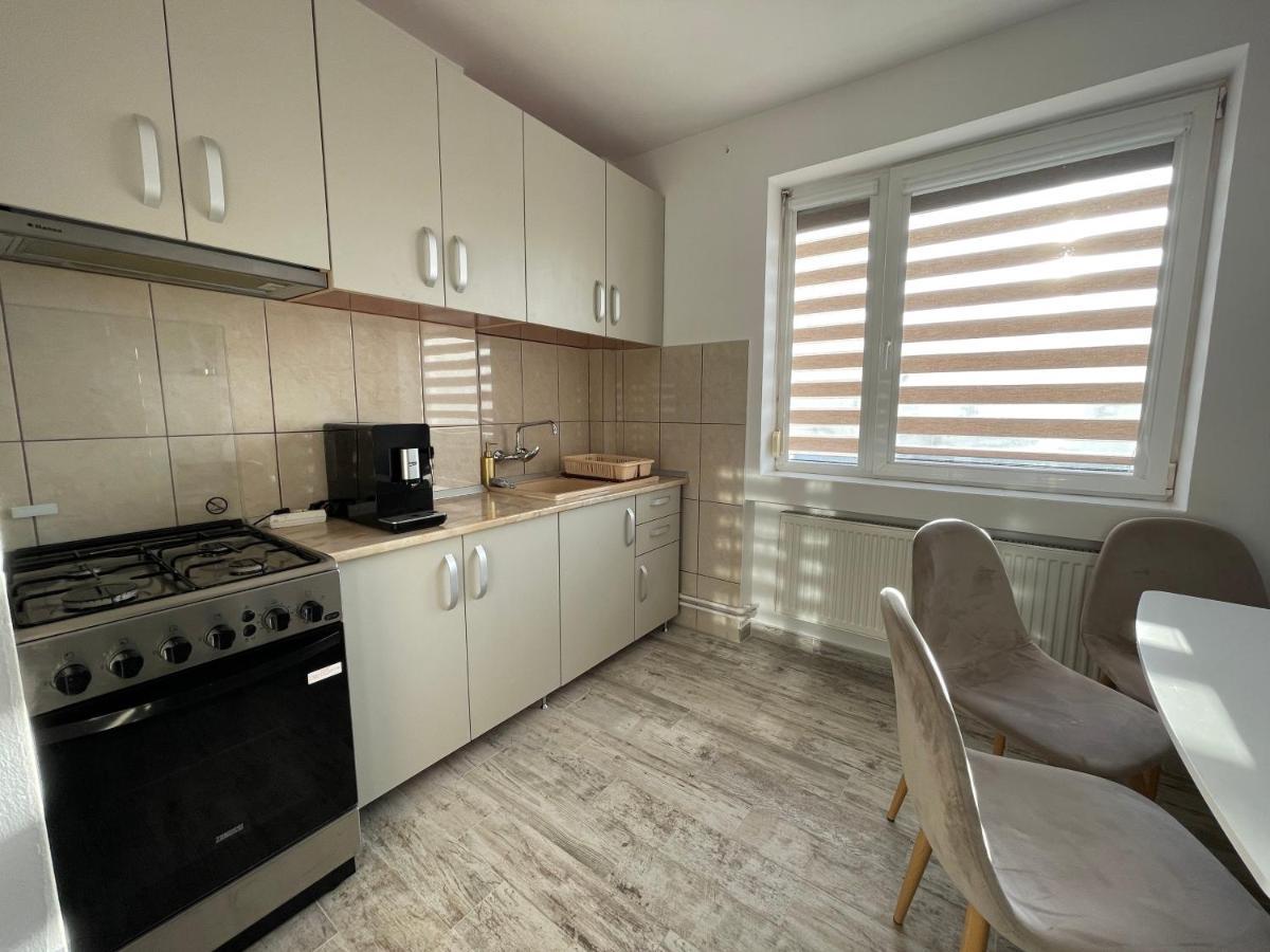 Tei Apartment - Lucian Blaga Satu Mare Dış mekan fotoğraf