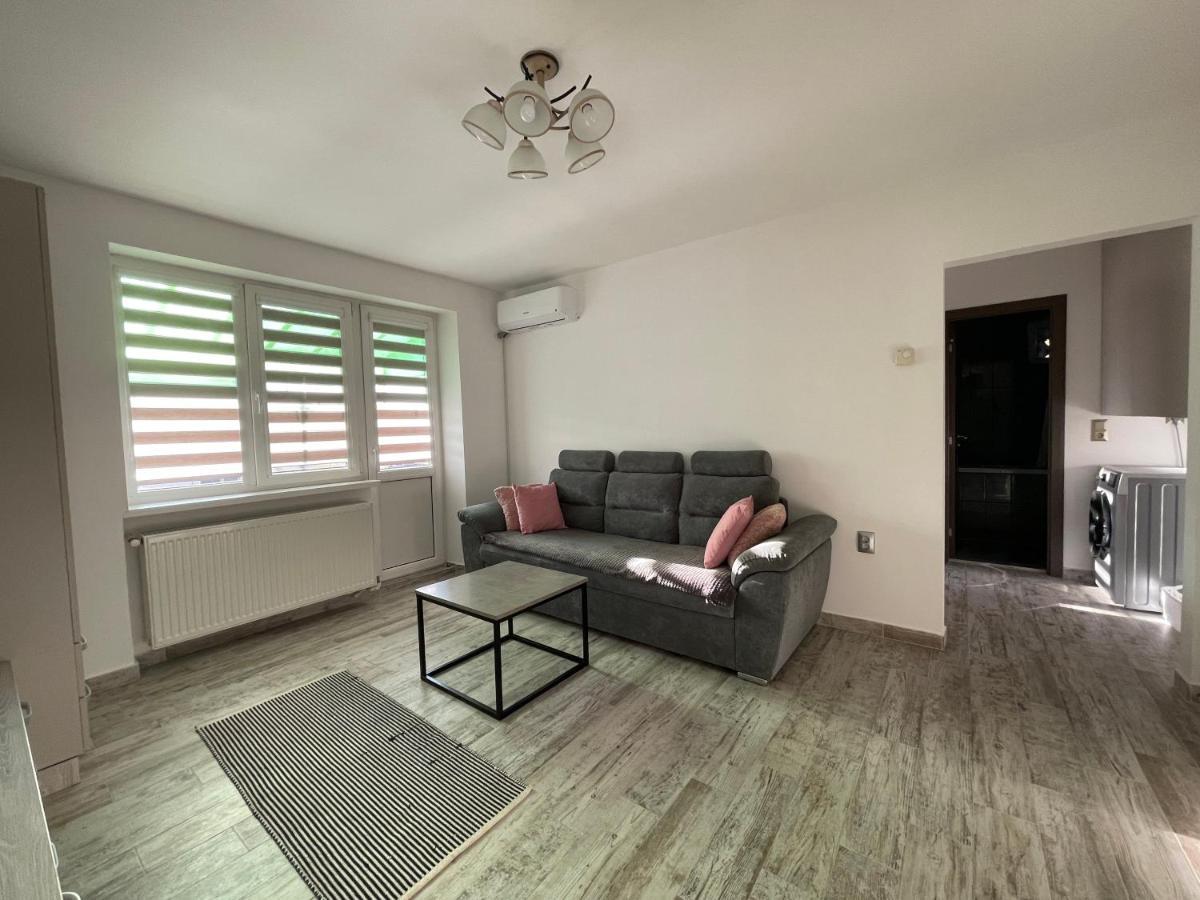 Tei Apartment - Lucian Blaga Satu Mare Dış mekan fotoğraf